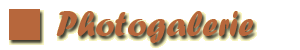 zur Photogalerie
